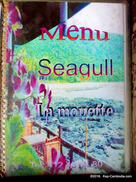 Seagull La Mouette in kep, cambodia