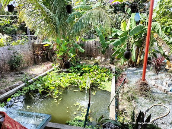 Les Papilles Enchantees in kep, cambodia