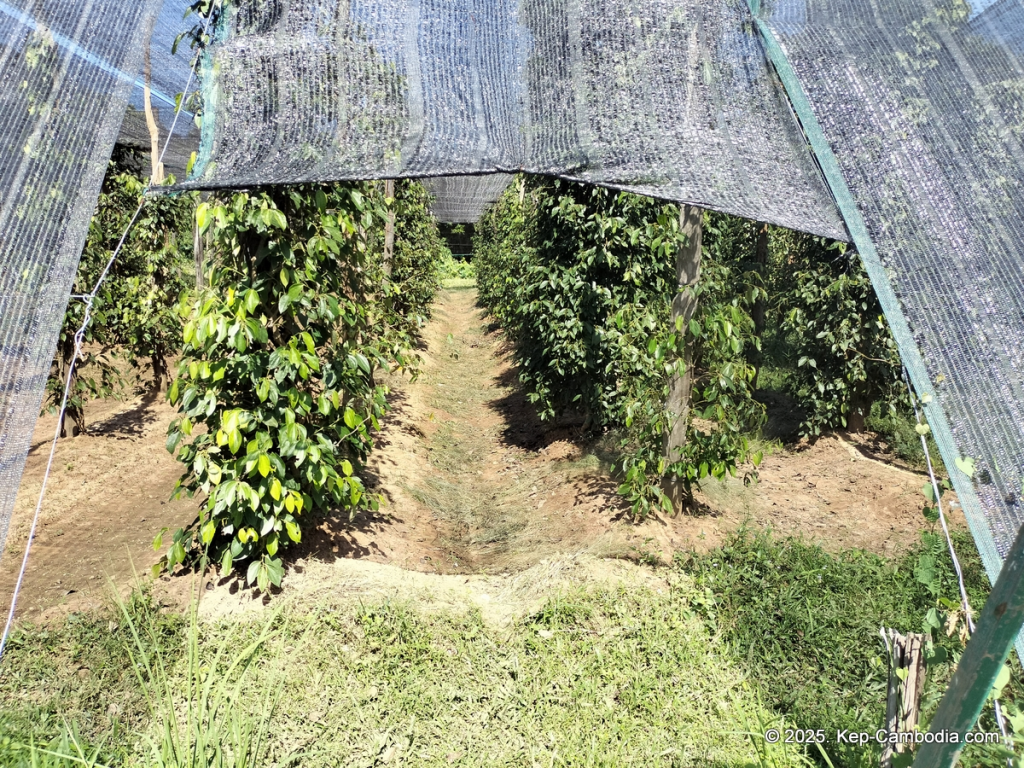 Eden Voah Hotel in Kep, Cambodia