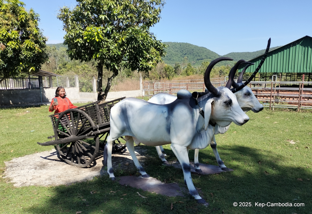 Phnom Vor Natural Paradise Resort in Kep, Cambodia and Kampot. Restaurant and Bamboo Train.
