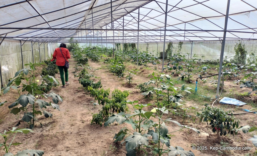 Phnom Vor Natural Paradise Resort in Kep, Cambodia and Kampot. Restaurant and Bamboo Train.