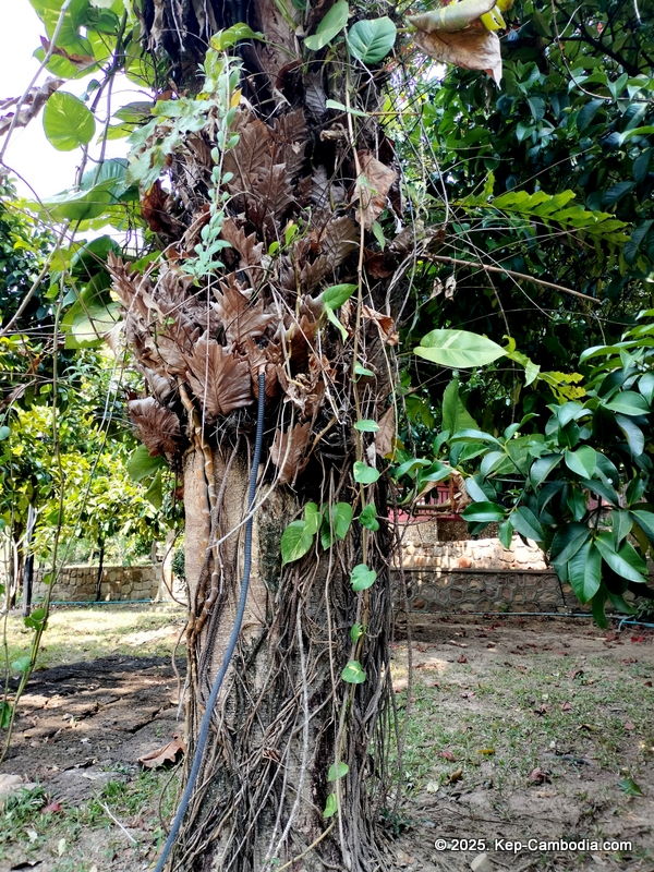 legend kep hotel in kep, cambodia