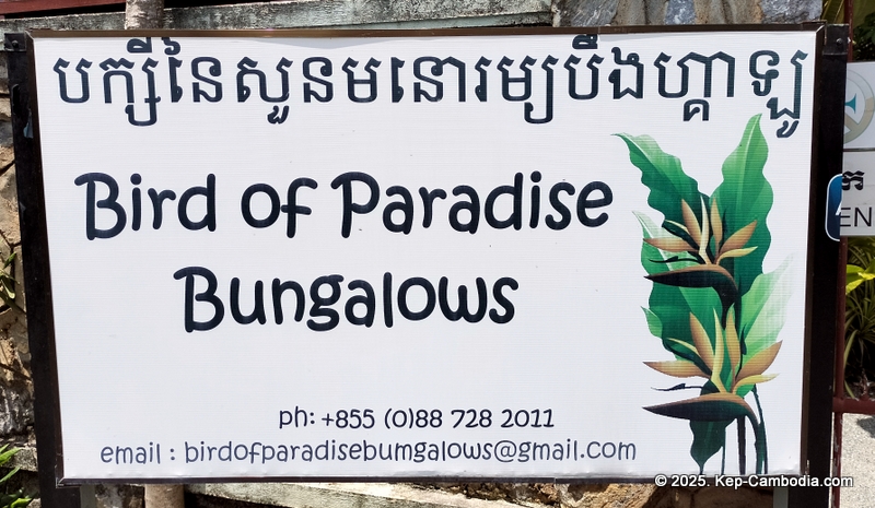 Bird's of Paradise in Kep, Cambodia. hotel.