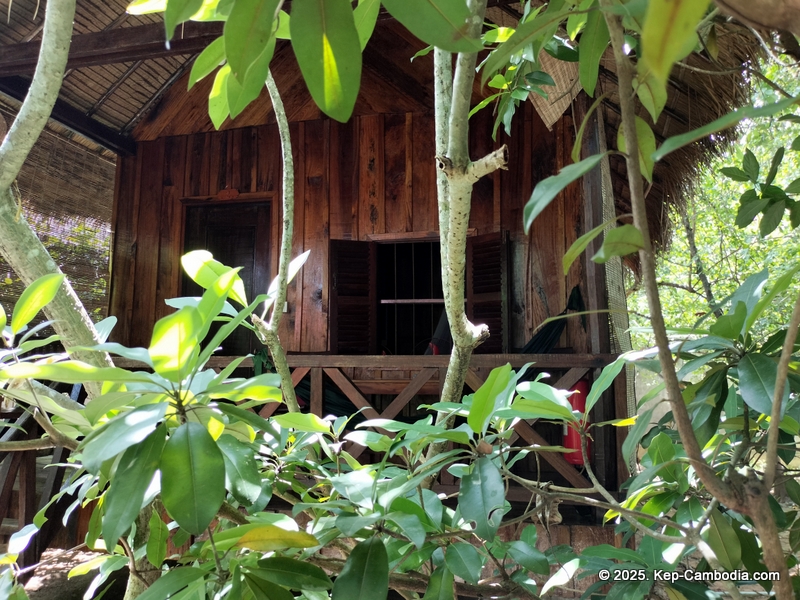 Bird's of Paradise in Kep, Cambodia. hotel.