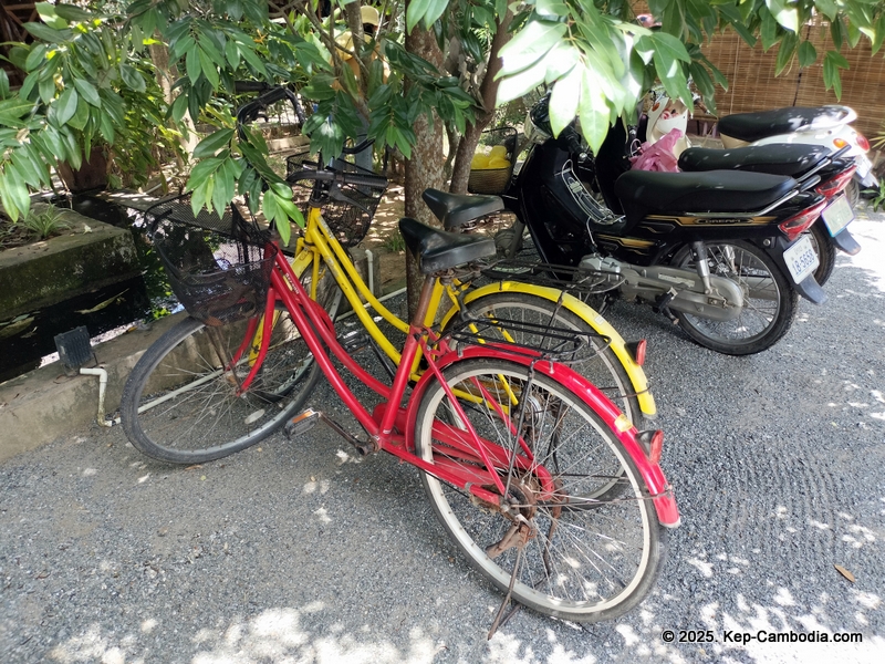 Bird's of Paradise in Kep, Cambodia. hotel.