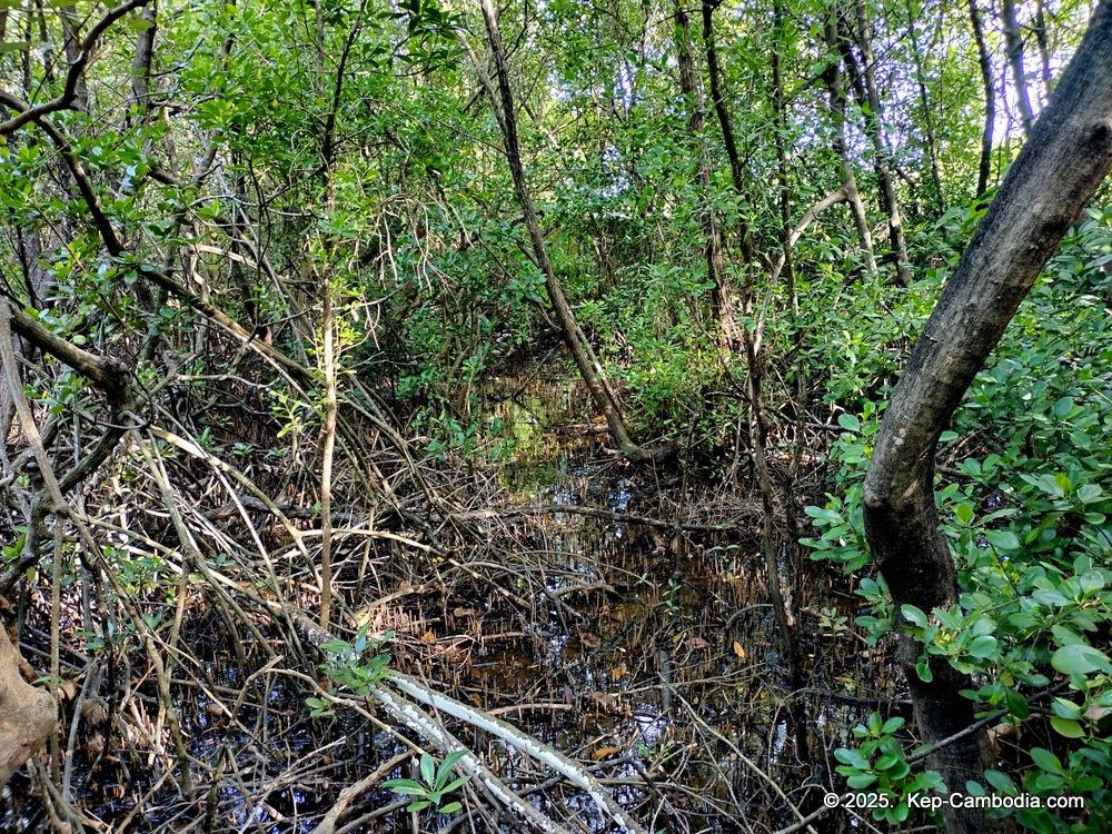 Samanea Resort in Kep, Cambodia. Beachside Resort.
