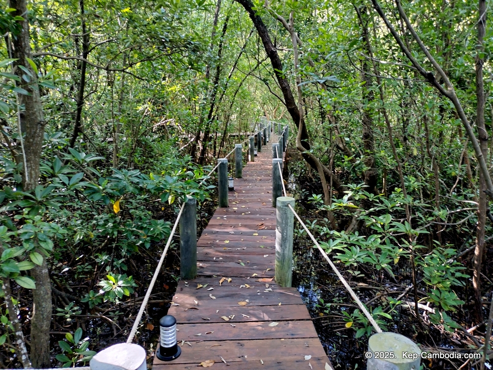 Samanea Resort in Kep, Cambodia. Beachside Resort.