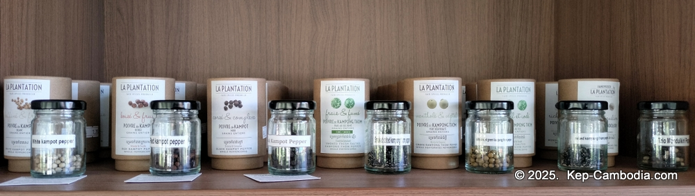 Samanea Resort in Kep, Cambodia. Beachside Resort.