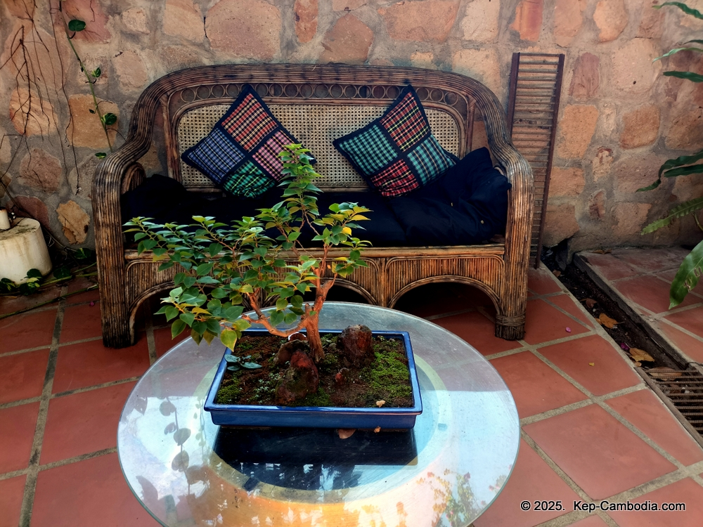 Tara Lodge in Kep, Cambodia