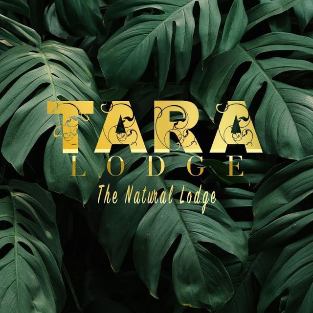 Tara Lodge in Kep, Cambodia