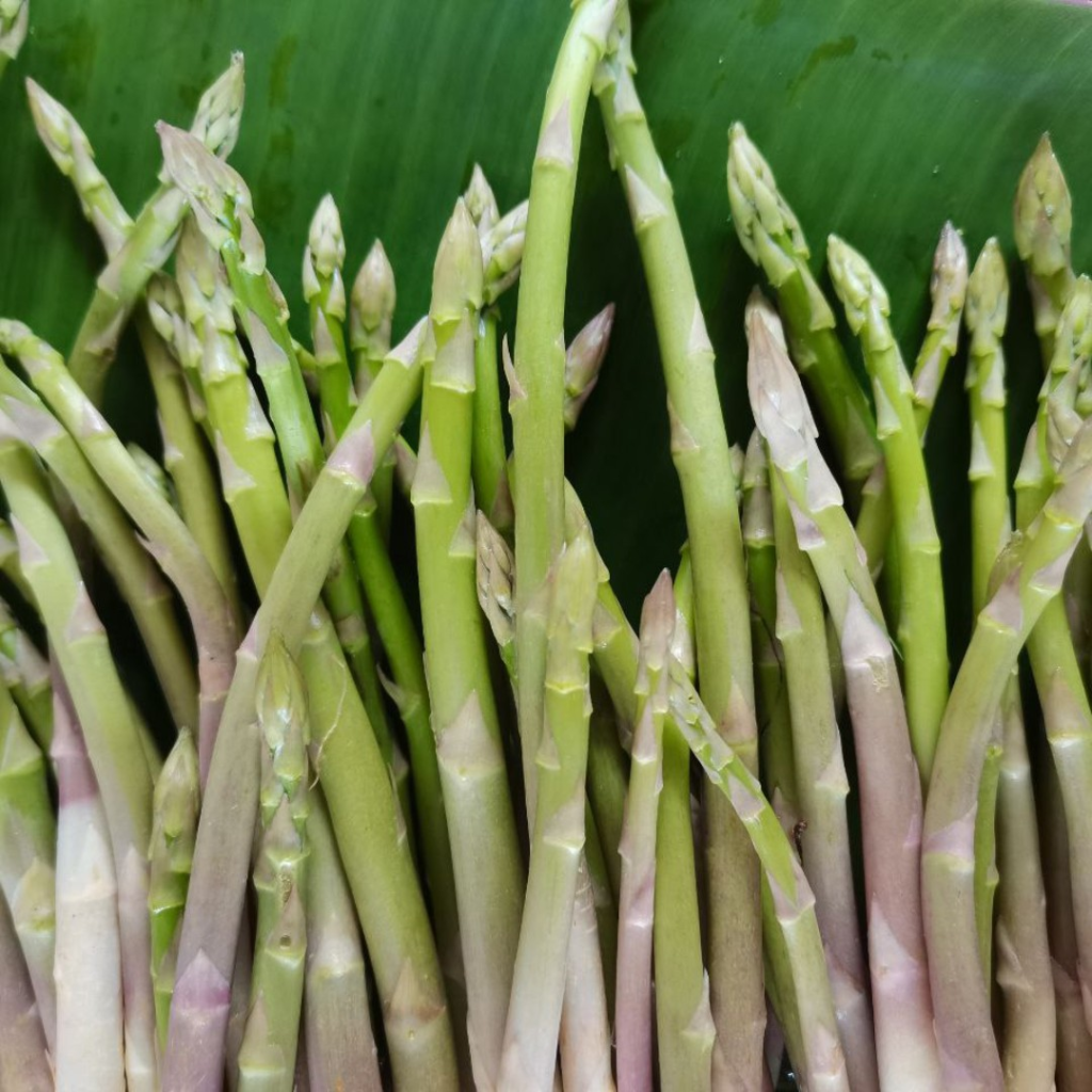 Baby Bird Farm in Kep and Kampot, Cambodia. Vegetables, fruits and Kampot Pepper. Cafe.