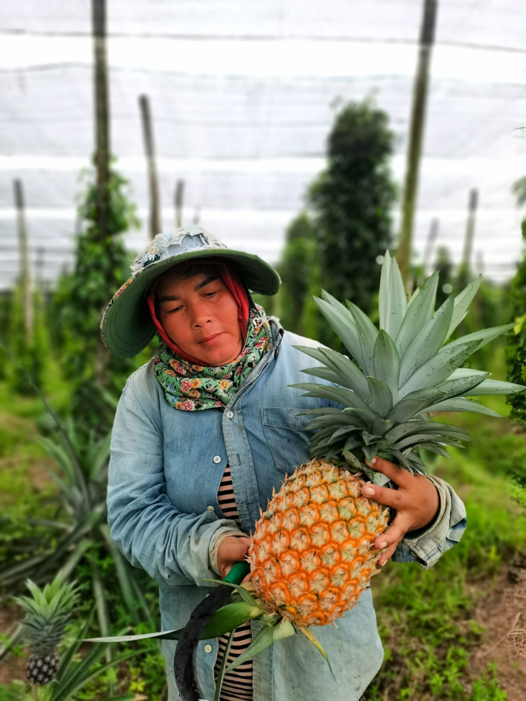 Baby Bird Farm in Kep and Kampot, Cambodia. Vegetables, fruits and Kampot Pepper. Cafe.