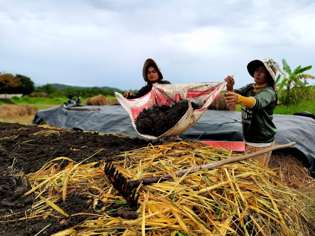 Baby Bird Farm in Kep and Kampot, Cambodia. Vegetables, fruits and Kampot Pepper. Cafe.