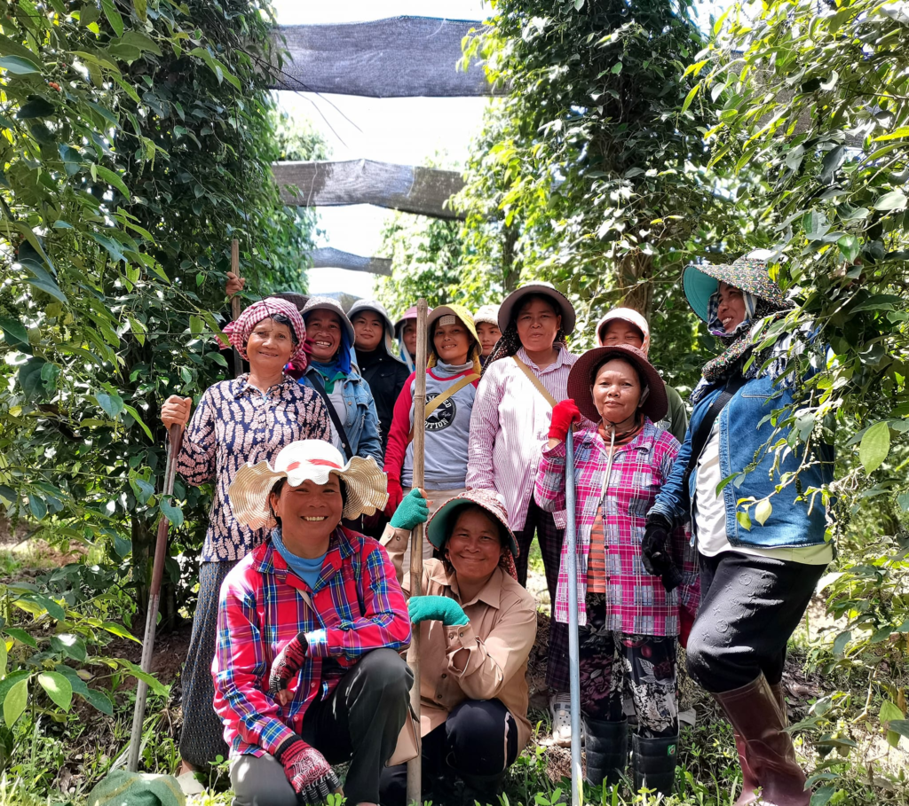 Baby Bird Farm in Kep and Kampot, Cambodia. Vegetables, fruits and Kampot Pepper. Cafe.