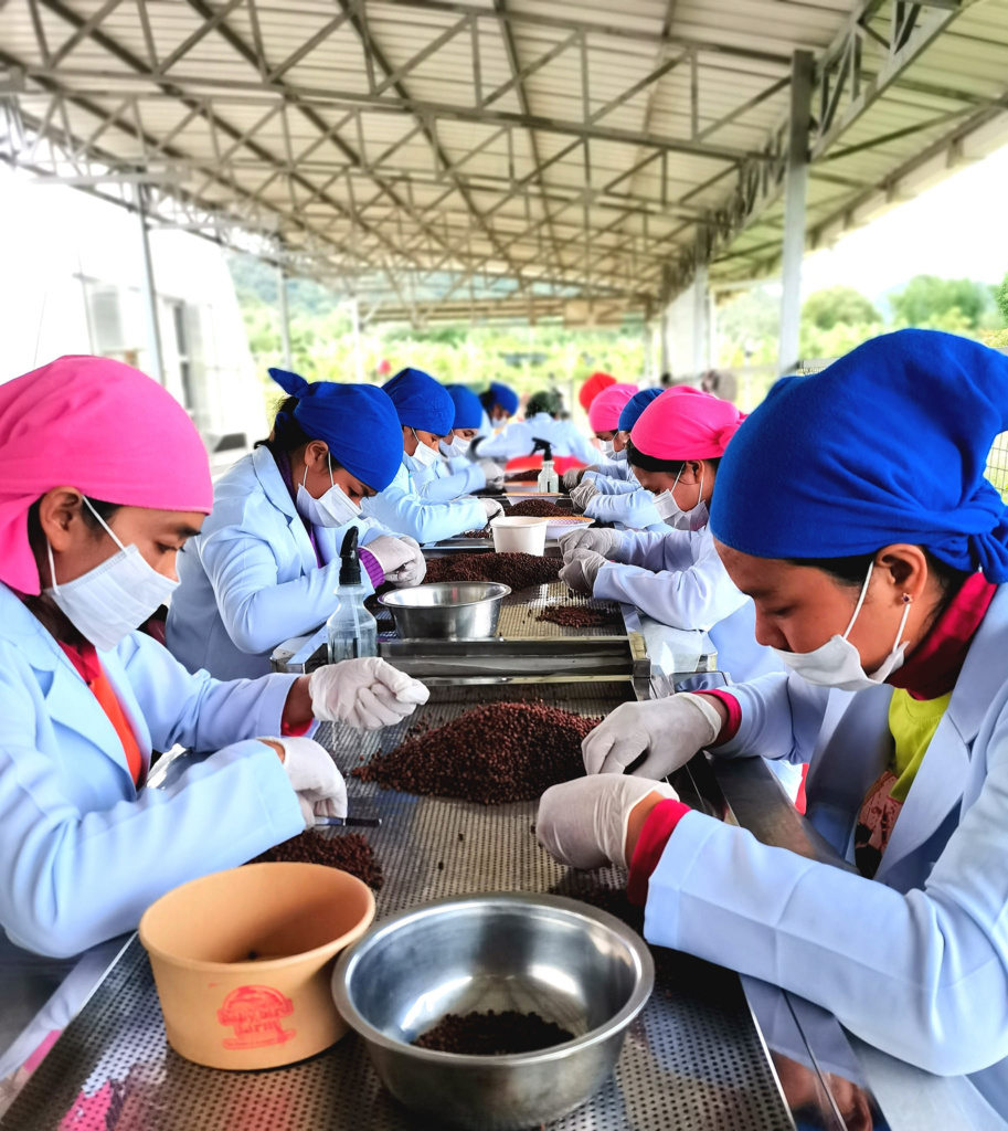 Baby Bird Farm in Kep and Kampot, Cambodia. Vegetables, fruits and Kampot Pepper. Cafe.
