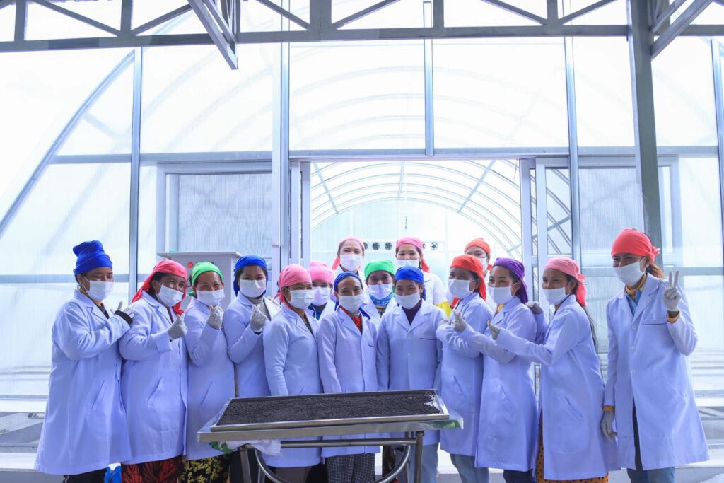 Baby Bird Farm in Kep and Kampot, Cambodia. Vegetables, fruits and Kampot Pepper. Cafe.