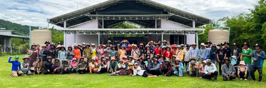Baby Bird Farm in Kep and Kampot, Cambodia. Vegetables, fruits and Kampot Pepper. Cafe.