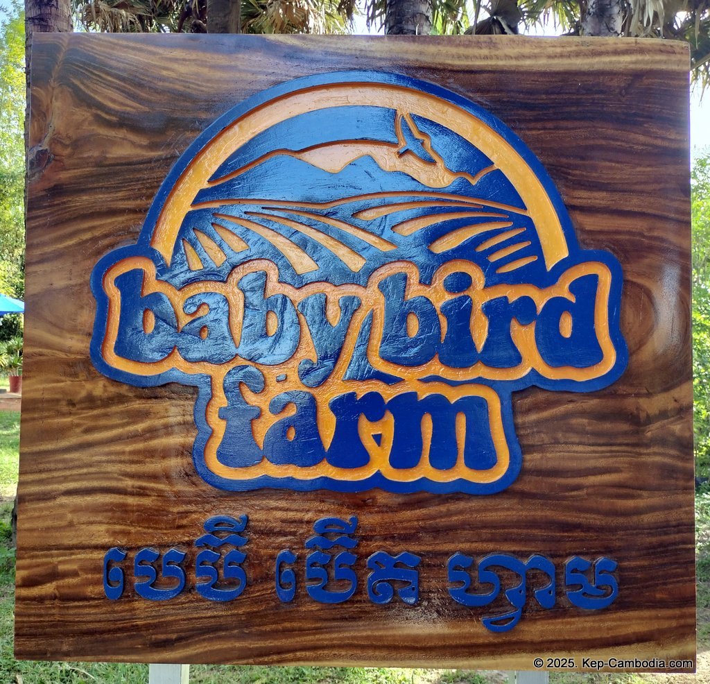 Baby Bird Farm in Kep and Kampot, Cambodia. Vegetables, fruits and Kampot Pepper. Cafe.