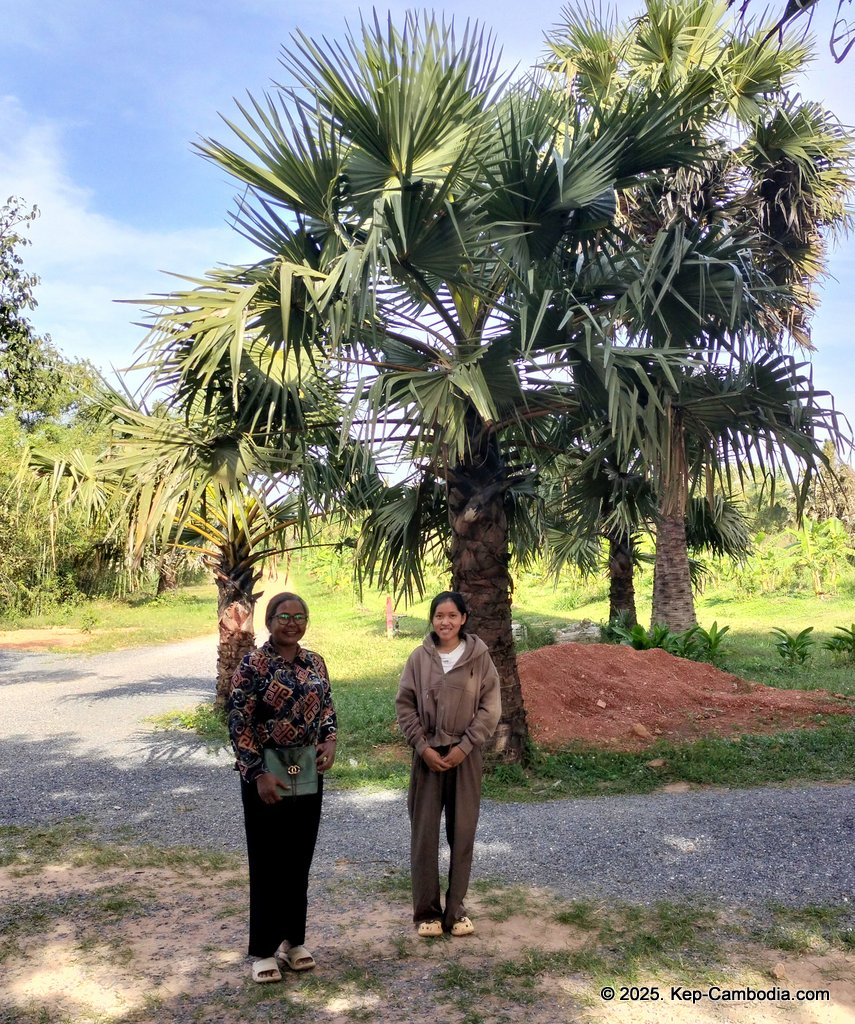 Baby Bird Farm in Kep and Kampot, Cambodia. Vegetables, fruits and Kampot Pepper. Cafe.