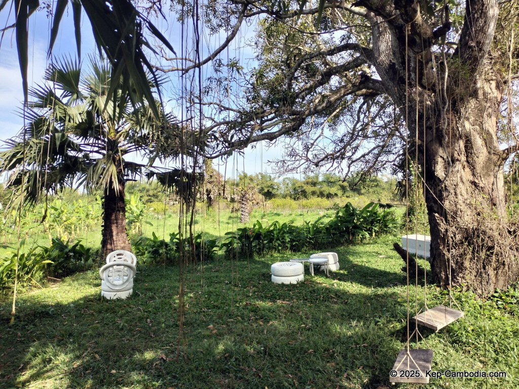 Baby Bird Farm in Kep and Kampot, Cambodia. Vegetables, fruits and Kampot Pepper. Cafe.