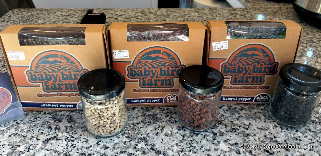 Baby Bird Farm in Kep and Kampot, Cambodia. Vegetables, fruits and Kampot Pepper. Cafe.