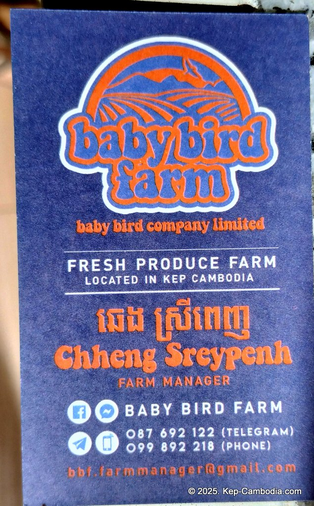 Baby Bird Farm in Kep and Kampot, Cambodia. Vegetables, fruits and Kampot Pepper. Cafe.