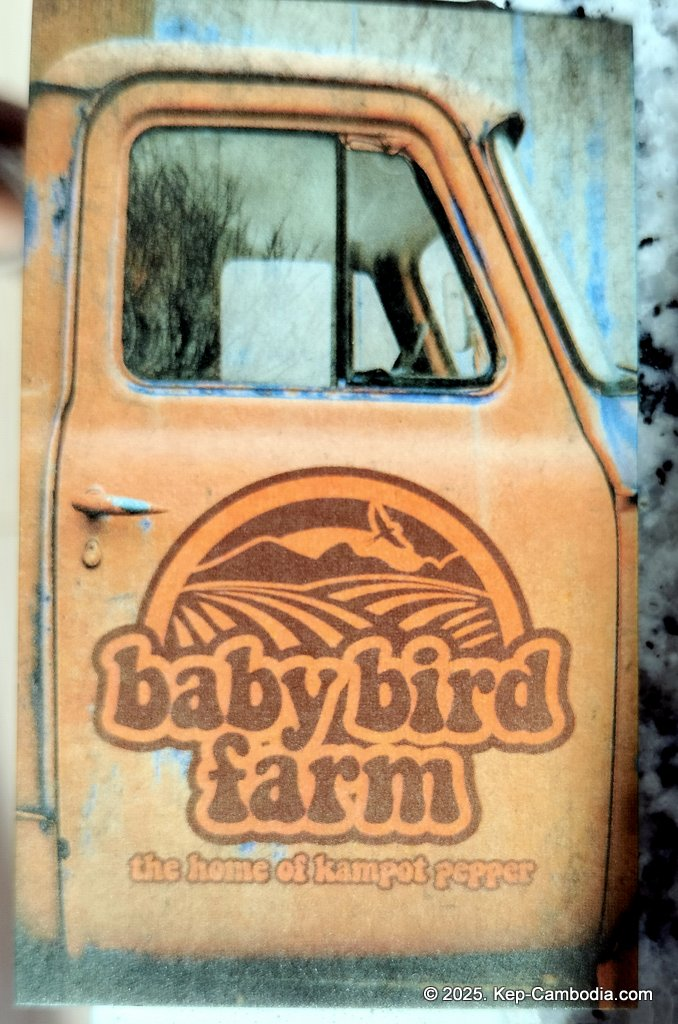 Baby Bird Farm in Kep and Kampot, Cambodia. Vegetables, fruits and Kampot Pepper. Cafe.