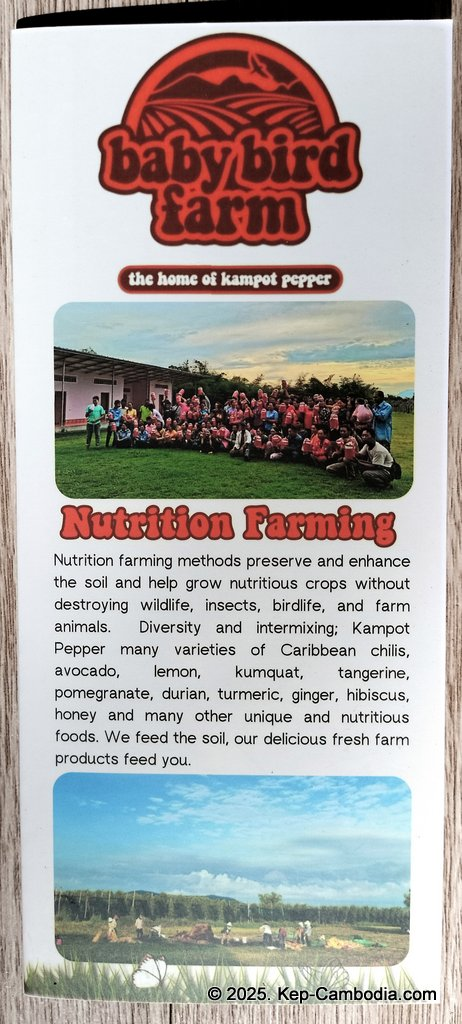 Baby Bird Farm in Kep and Kampot, Cambodia. Vegetables, fruits and Kampot Pepper. Cafe.