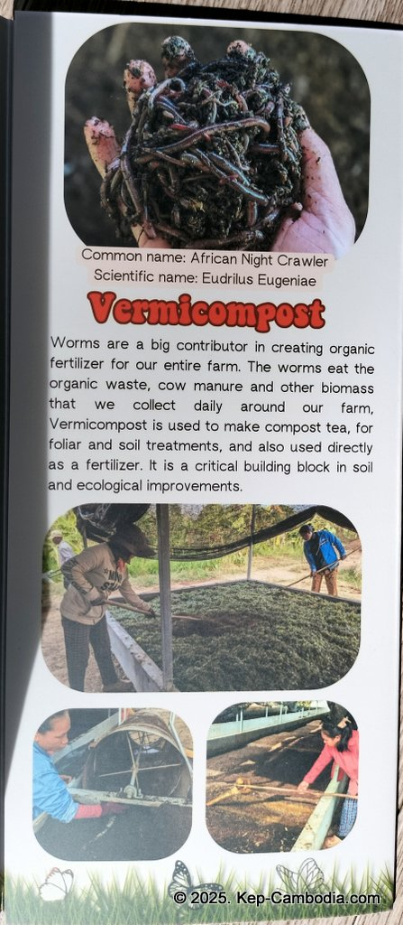 Baby Bird Farm in Kep and Kampot, Cambodia. Vegetables, fruits and Kampot Pepper. Cafe.