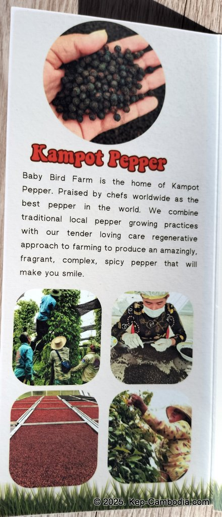 Baby Bird Farm in Kep and Kampot, Cambodia. Vegetables, fruits and Kampot Pepper. Cafe.