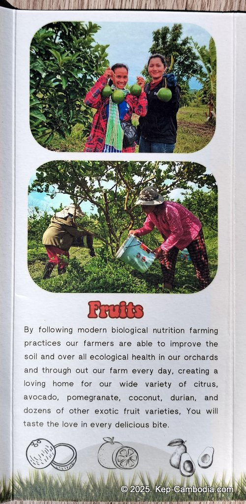 Baby Bird Farm in Kep and Kampot, Cambodia. Vegetables, fruits and Kampot Pepper. Cafe.