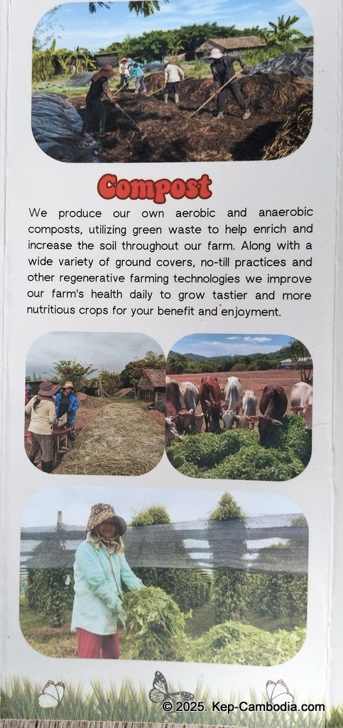 Baby Bird Farm in Kep and Kampot, Cambodia. Vegetables, fruits and Kampot Pepper. Cafe.