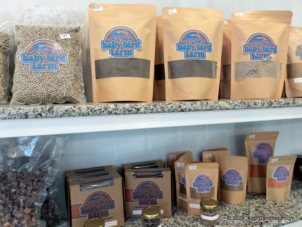 Baby Bird Farm in Kep and Kampot, Cambodia. Vegetables, fruits and Kampot Pepper. Cafe.