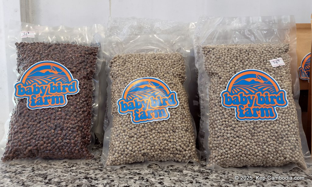 Baby Bird Farm in Kep and Kampot, Cambodia. Vegetables, fruits and Kampot Pepper. Cafe.