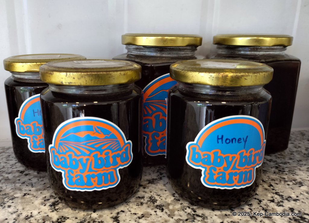 Baby Bird Farm in Kep and Kampot, Cambodia. Vegetables, fruits and Kampot Pepper. Cafe.