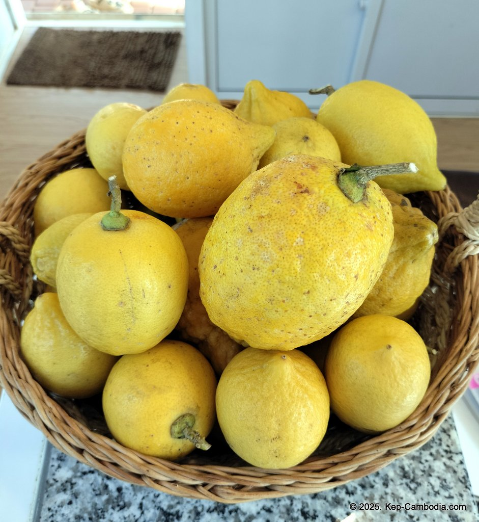 Baby Bird Farm in Kep and Kampot, Cambodia. Vegetables, fruits and Kampot Pepper. Cafe.