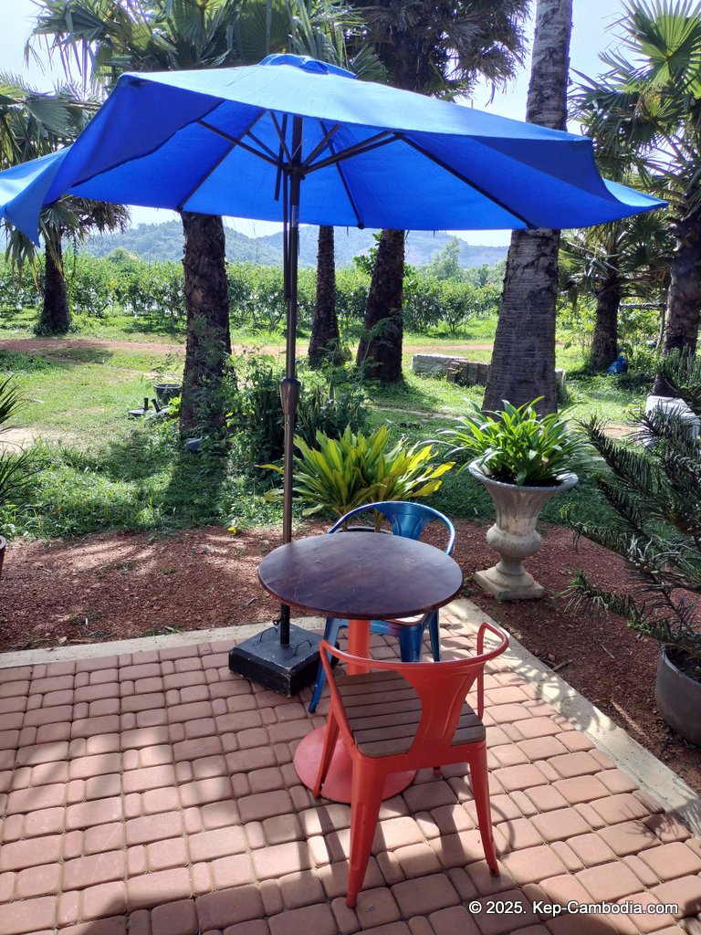 Baby Bird Farm in Kep and Kampot, Cambodia. Vegetables, fruits and Kampot Pepper. Cafe.