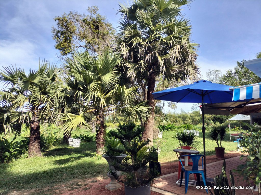 Baby Bird Farm in Kep and Kampot, Cambodia. Vegetables, fruits and Kampot Pepper. Cafe.