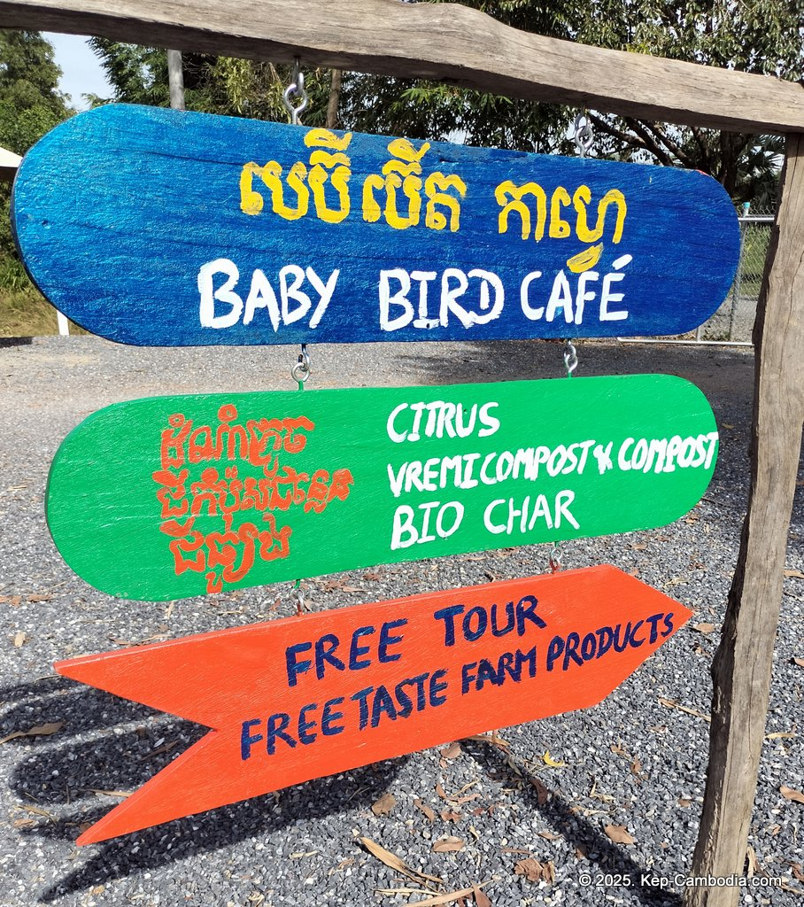 Baby Bird Farm in Kep and Kampot, Cambodia. Vegetables, fruits and Kampot Pepper. Cafe.