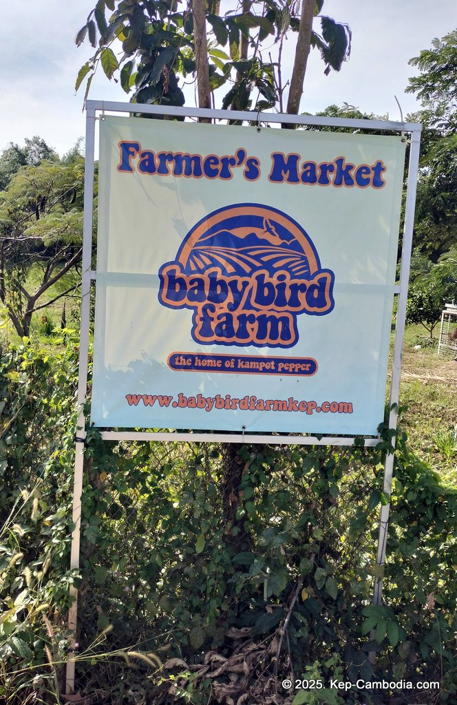 Baby Bird Farm in Kep and Kampot, Cambodia. Vegetables, fruits and Kampot Pepper. Cafe.