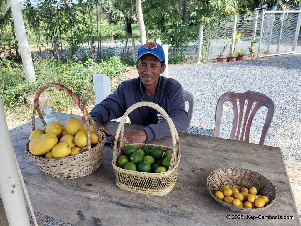 Baby Bird Farm in Kep and Kampot, Cambodia. Vegetables, fruits and Kampot Pepper. Cafe.