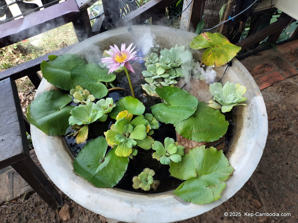 Zip Line Cafe in Kep, Cambodia.