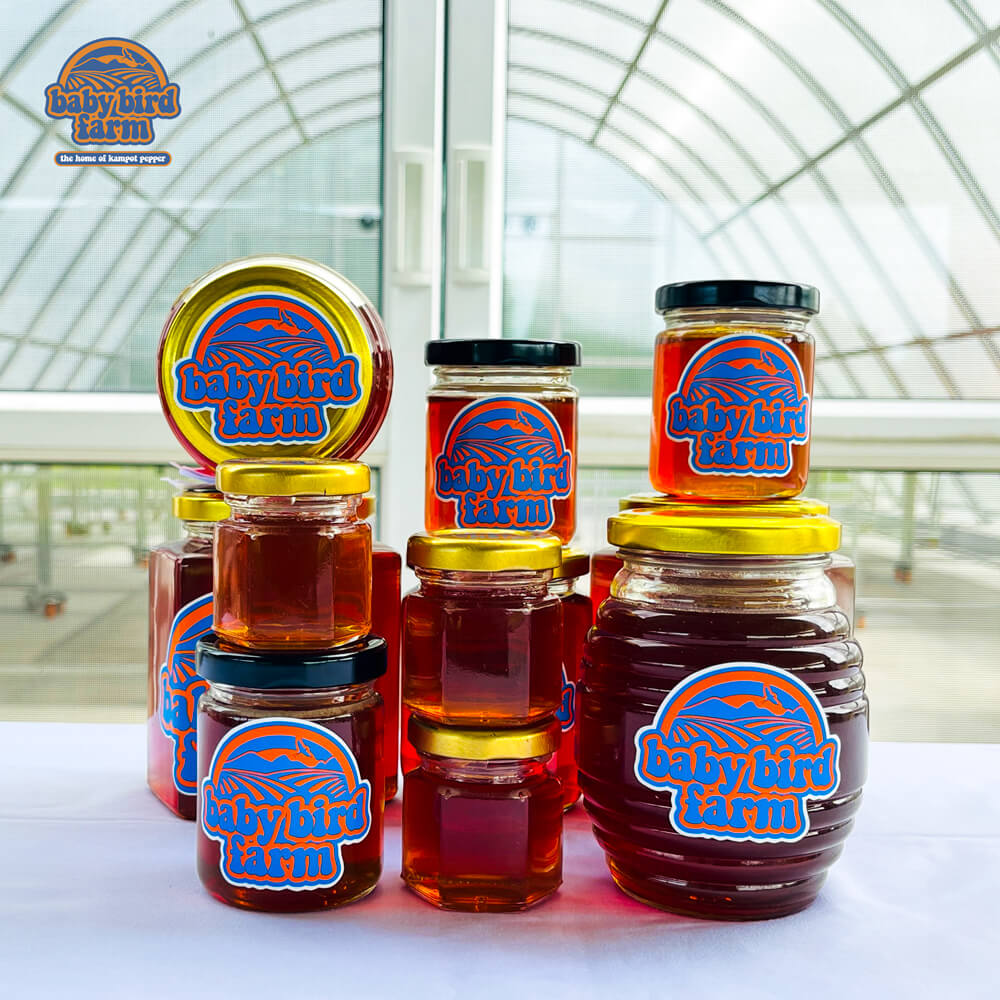 Baby Bird Farm in Kep and Kampot, Cambodia. Vegetables, fruits and Kampot Pepper. Cafe.