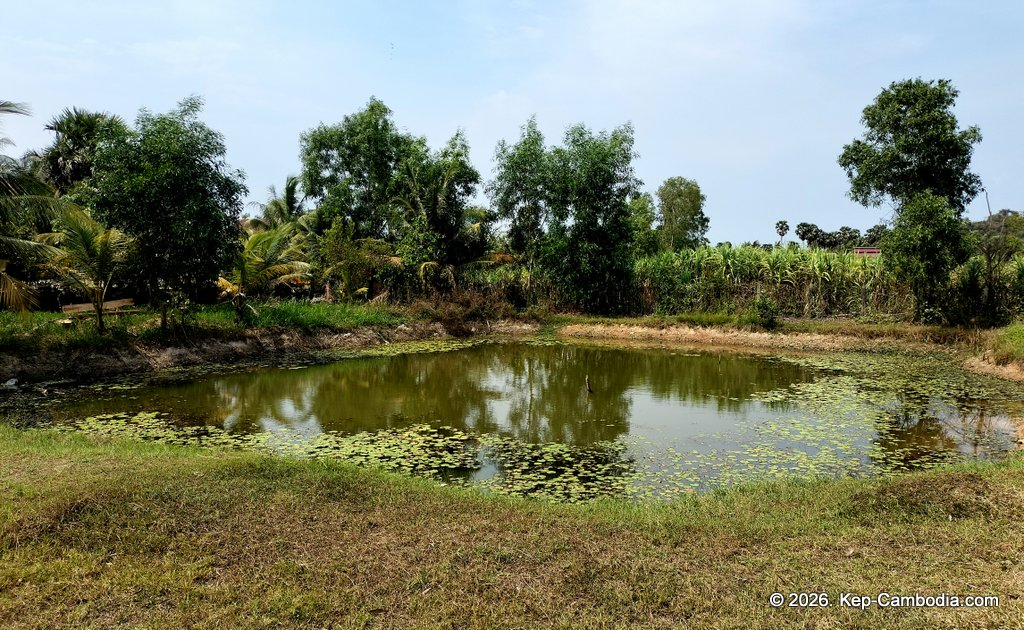 far out kep in kep, cambodia. backpacker hotel and restaurant