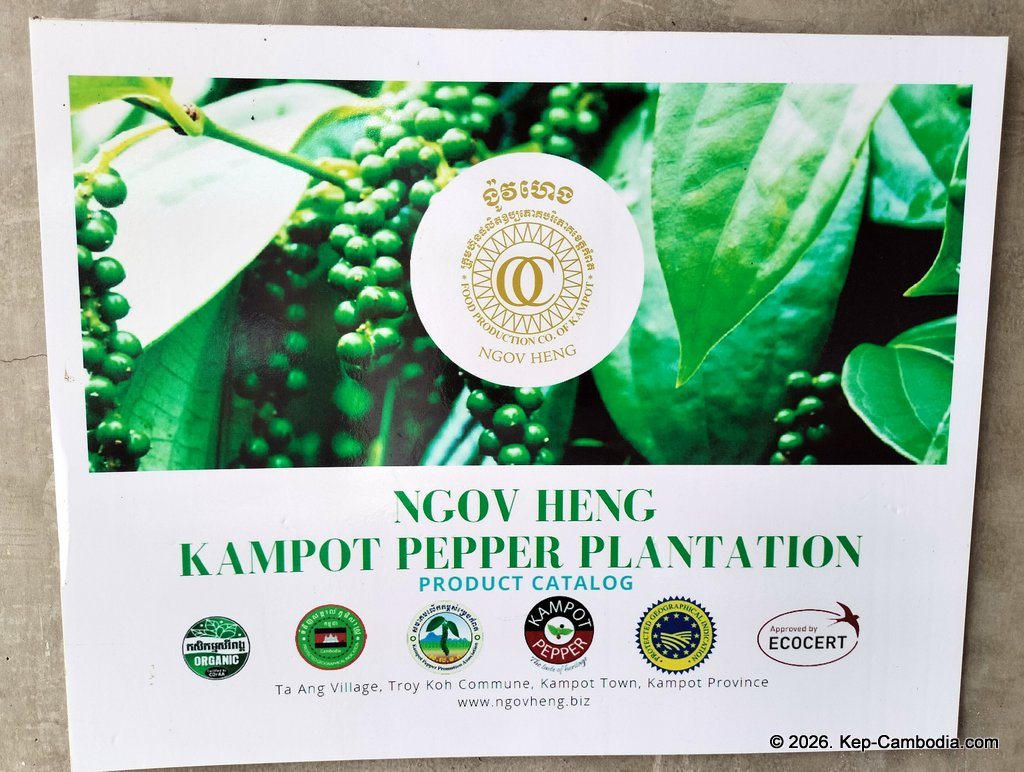 Ngov Heng Pepper Plantation in Kep, Cambodia